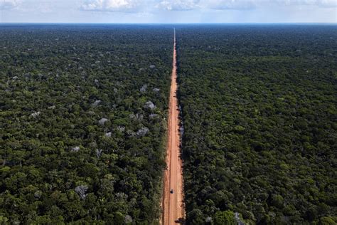 Nova Transamazônica reconstrução da BR 319 começa sem estudo de