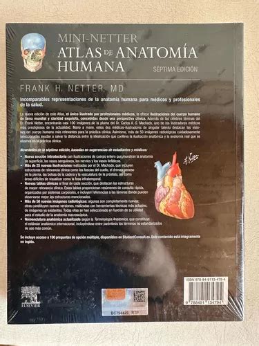 Mini netter Atlas De Anatomia Humana 7 Edicion Cuotas sin interés