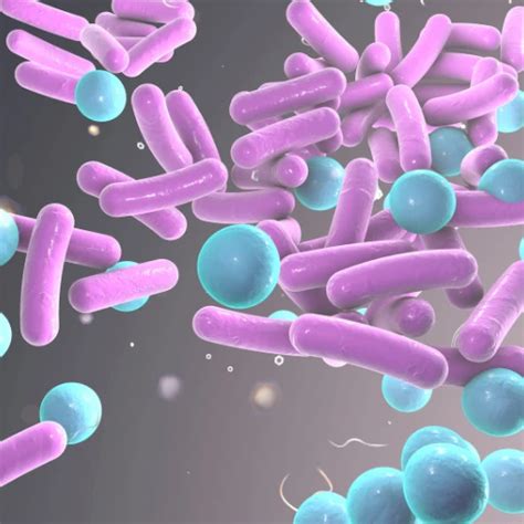 Legionella Awareness