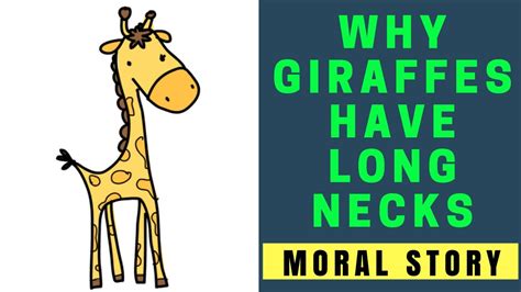 Why Giraffes Have Long Necks Short Story Of Rabbit And Giraffe Moral