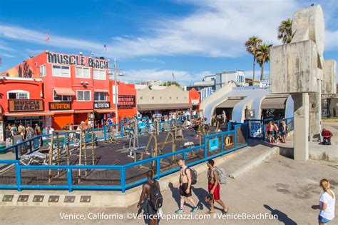 Muscle Beach Gym