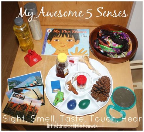 Preschool 5 Senses Sensory Station Little Bins For Little Hands