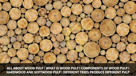 All About Wood Pulp What Is Wood Pulp Components Of Wood Pulp