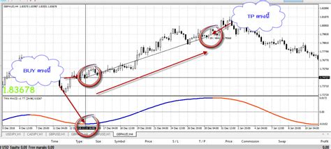 TMA Centered MACD V1 TT Thai Broker Forex