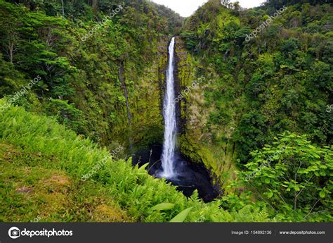 Akaka Falls waterfall — Stock Photo © MNStudio #154892136