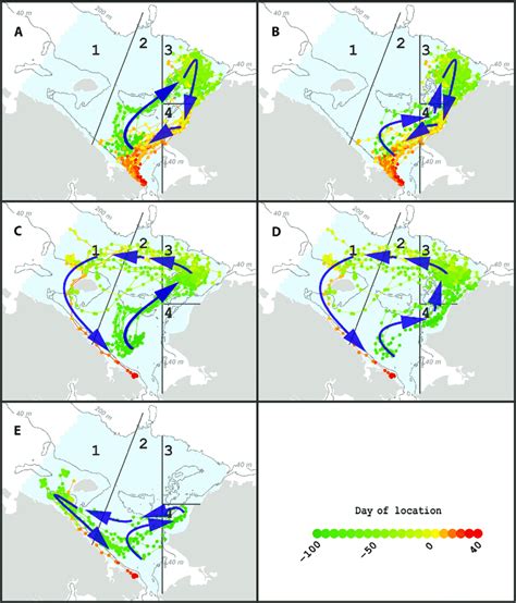 My swim patterns if I was a walrus : r/mapporncirclejerk