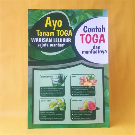 Jual Poster Obat Poster Ayo Tanam Toga Poster Tanaman Obat Keluarga