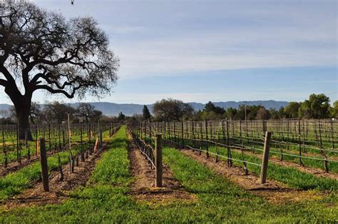 Santa Barbara Wine Country California Winery Advisor