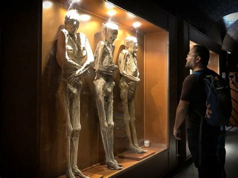 Why You Absolutely MUST See The Mummies in Mexico - The Wandering ...