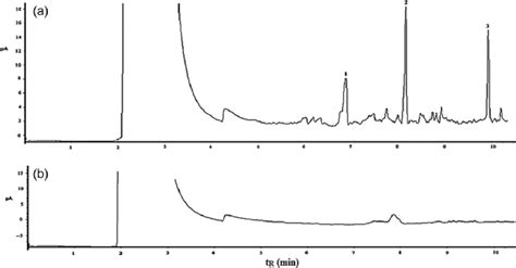 Gc Fid Chromatograms For River Water Analysis A Spiked At 10 Ng Ml −1 Download Scientific