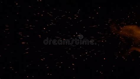 Burning Red Hot Sparks Rise From Large Fir Stock Video Video Of Light