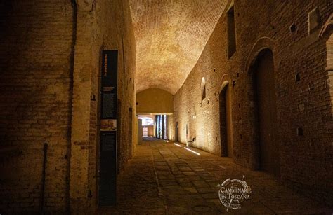 Santa Maria Della Scala In Siena Guided Tour Private Guide Of Siena