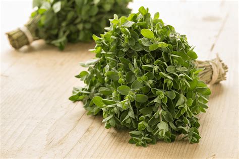 What Is Marjoram — And What's a Good Substitute?