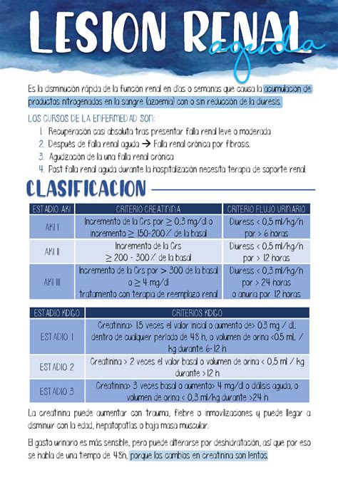 Solution Lesion Renal Aguda Studypool