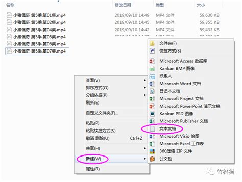 Bat复制文件到指定目录同名通过bat批量提取目录文件名 Csdn博客