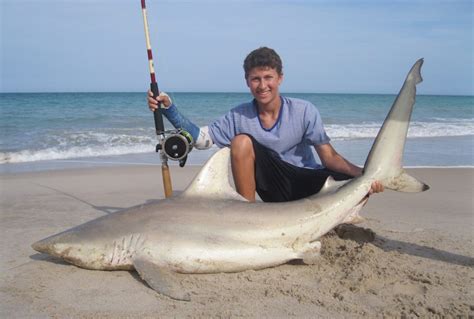 Beach Shark Break Away Weight Florida Sportsman