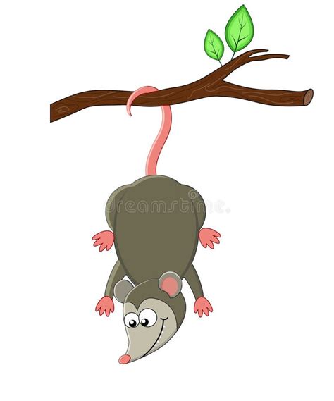 Cartoon Smiling Opossum Stock Illustrations 78 Cartoon Smiling