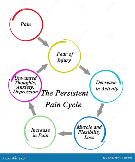 Components of Persistent Pain Cycle Stock Illustration - Illustration