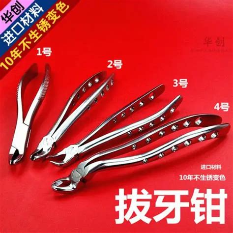 Medical Adult Tooth Extracting Forceps Pliers Stainless Steel Dental