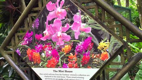 National Orchid Garden Singapore Botanic Gardens Youtube