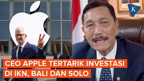 Luhut Sebut Ceo Apple Tertarik Investasi Kembangkan Ai Di Ikn Bali