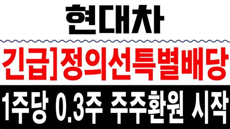 현대차 기아 주가전망 긴급 정의선특별배당 1주당 03주 주주환원 시작 L 기아주가전망 현대차주가전망 기아주가 현대차주가