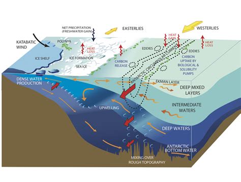 Antarctic Circumpolar Current