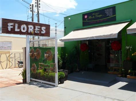 Avalia Es Sobre Flor Do Campo Floricultura Em Campo Grande Mato