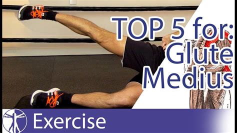 Top 5 Gluteus Medius Exercises - Women Division