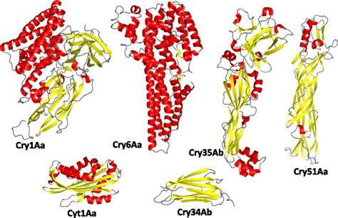 Structural Families Of B Thuringiensis Delta Endotoxins Download