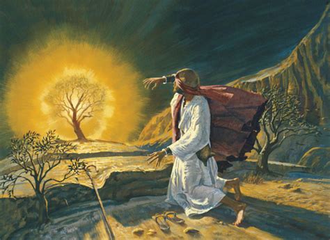 Moses and the Burning Bushes