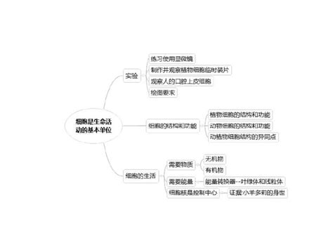 七上生物第二单元思维导图怎么画？清晰思维导图分享知犀官网