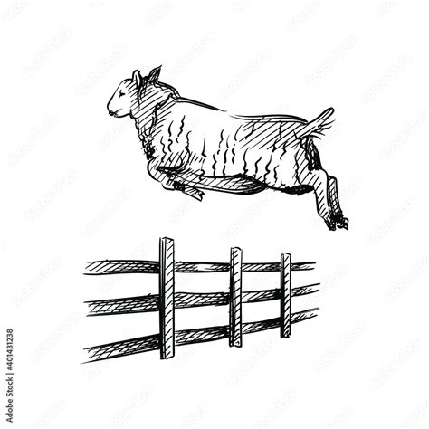 Hand Drawn Sketch Of Sheep Jumping Over The Fence On A White Background