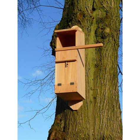 wildlife world tawny owl nest box waterperry gardens oxfordshire