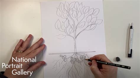 Open Studio Drawing A Peanut Plant Youtube