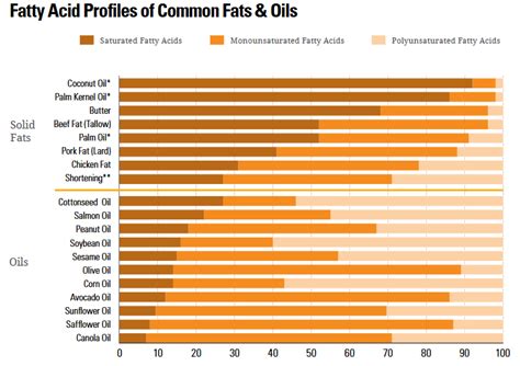 Becoming More Healthy by Eating Healthy Fats - Becoming Elli