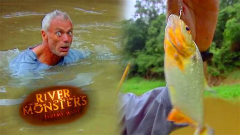 River Monsters Piranha Pool