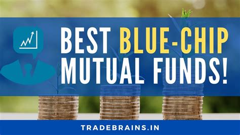 Best Blue Chip Mutual Funds How To Pick The Right Fund YouTube