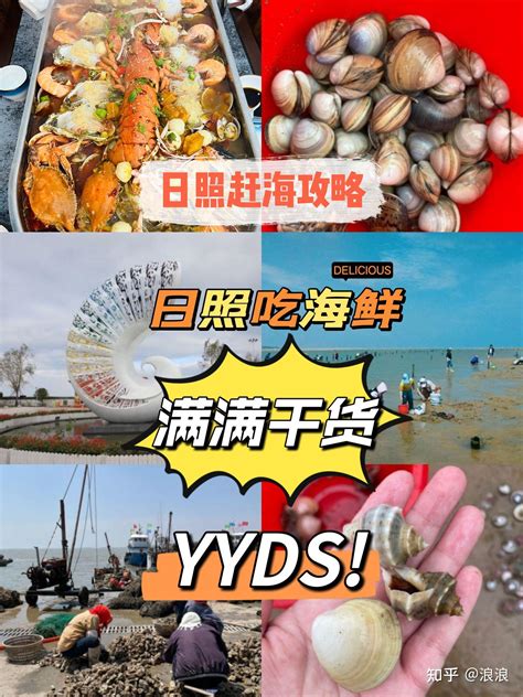 日照赶海攻略，日照吃海鲜，满满干货 知乎