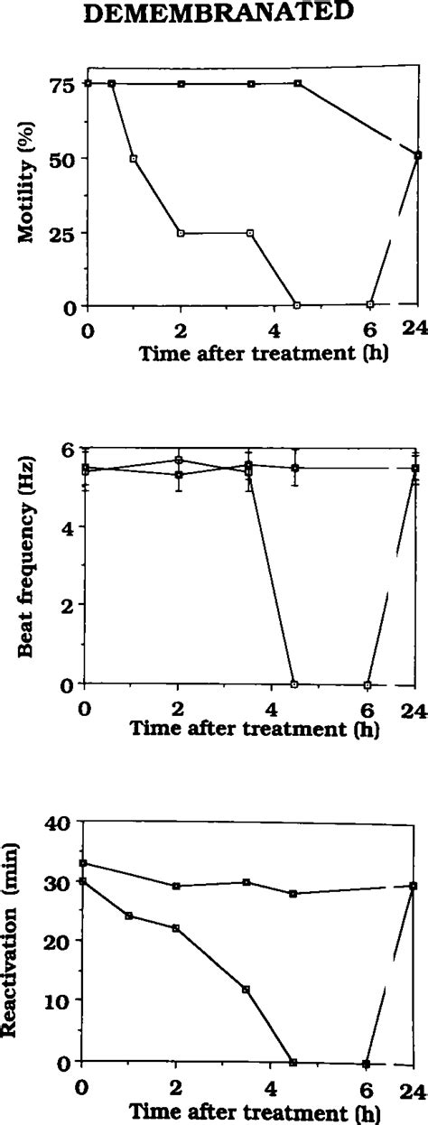 Figure 2 From Reactive Oxygen Species And Human Spermatozoa I Effects