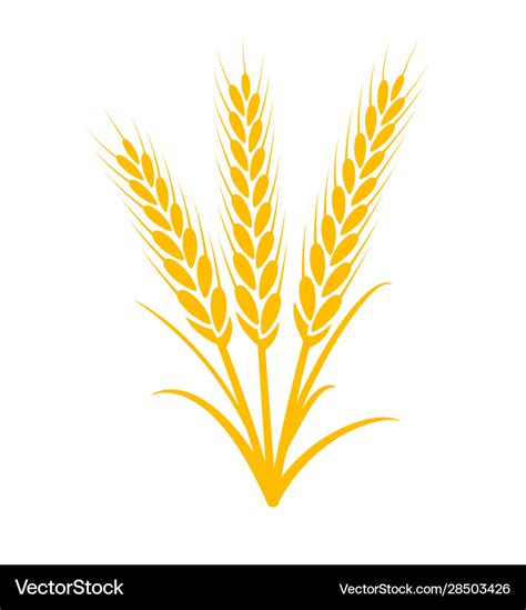 Wheat plant grain icon Royalty Free Vector Image