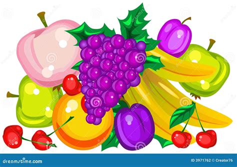 Frutas Del Vector Ilustraci N Del Vector Ilustraci N De Maduro