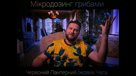 Павел Дмитриев Колесо Сансари - YouTube