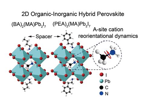 Direct Investigation Of The Reorientational Dynamics Of A Site Cations