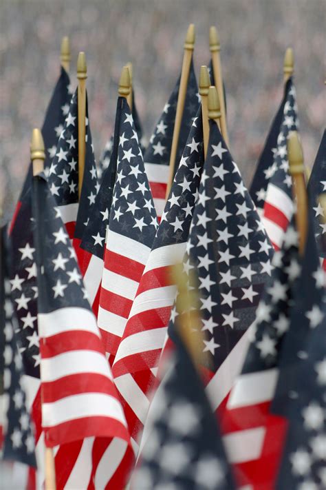 Flags on Memorial Day | Shutterbug