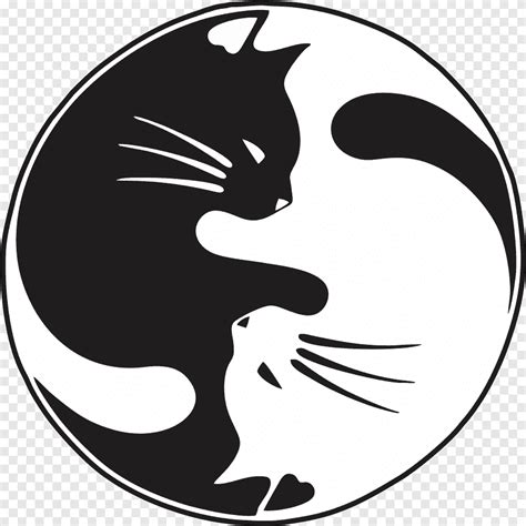 Картинки Знаками Кот – Telegraph