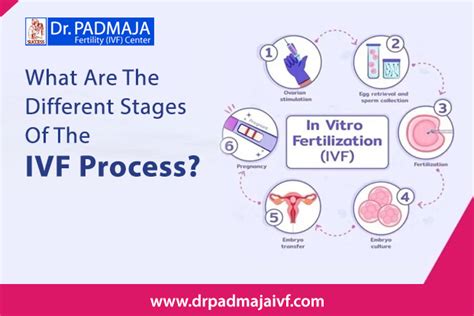 Ivf Centre In Hyderabad Fertility Centre In Hyderabad