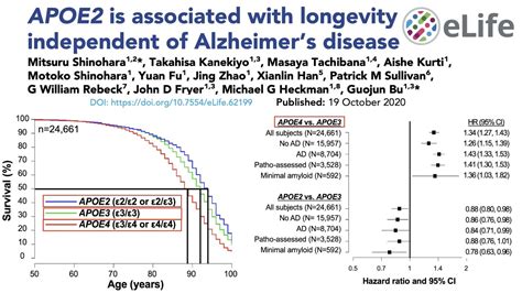 Longevity Genes Apoe Youtube