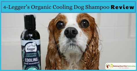 Natural Dog Shampoo Review: USDA Certified Organic Dog Shampoo with ...