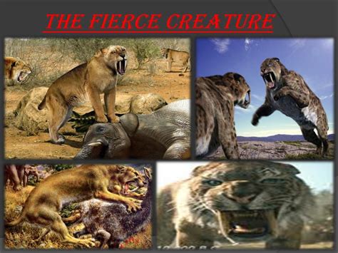 Ppt Saber Tooth Tiger Powerpoint Presentation Free Download Id 2581445